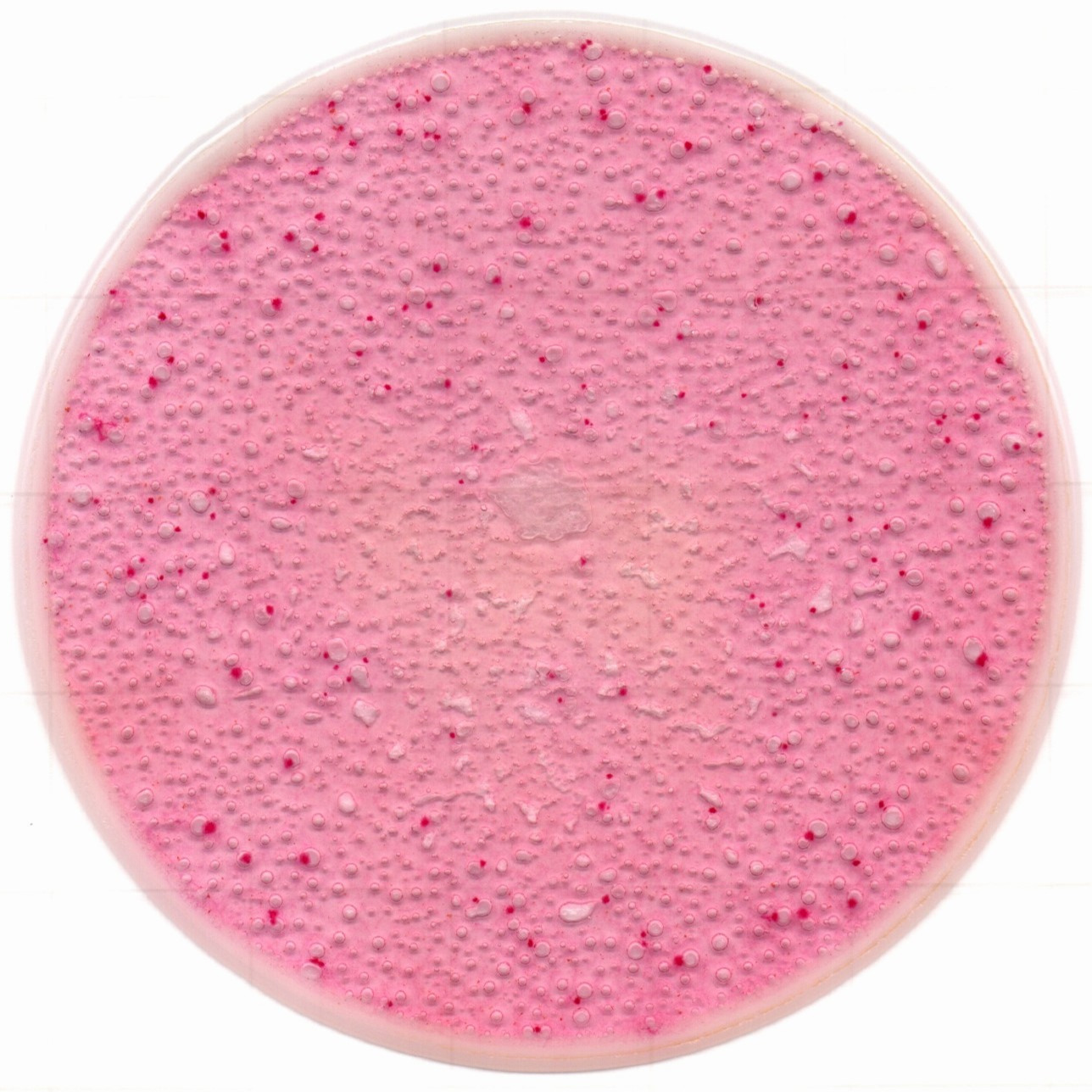 1217129072872349.jpg 1217129072872349.jpg