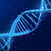 单细胞ATAC测序 （单细胞ATAC-Seq) 