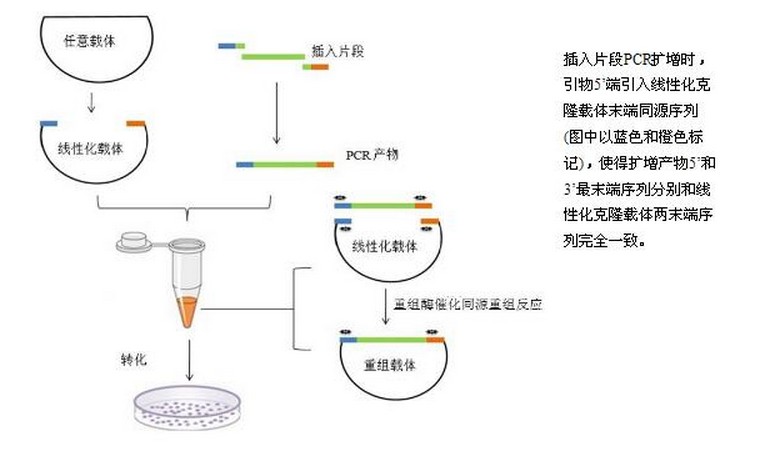 产品细节图片2