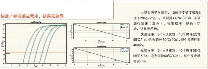 KAPA SYBR FAST qPCR试剂盒