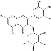 杨梅苷分析对照品17912-87-7