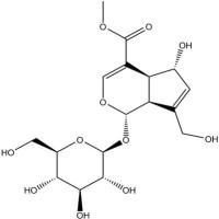 鸡矢藤次苷甲酯27530-67-2