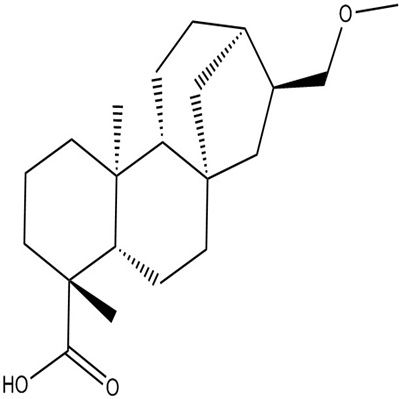 豨莶醚酸196399-16-3