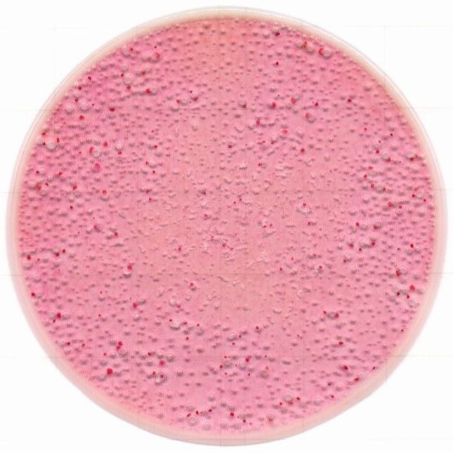 1217129075994181.jpg 1217129075994181.jpg