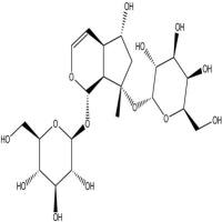 地黄苷C81720-07-2