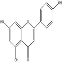芹菜素分析对照品520-36-5
