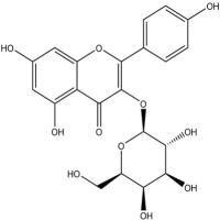 三叶豆苷23627-87-4