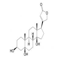 杠柳苷元514-39-6