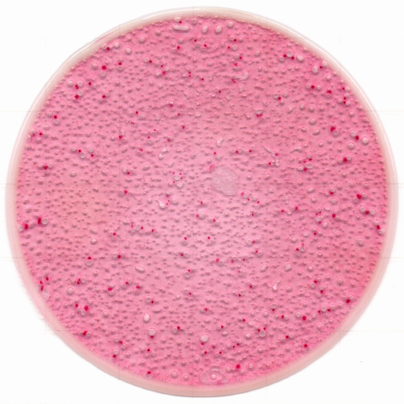 1217129072683033.jpg 1217129072683033.jpg