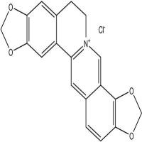 盐酸黄连碱分析对照品6020-18-4