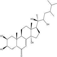 猪苓酮A141360-88-5