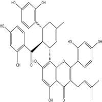 桑黄酮G75629-19-5