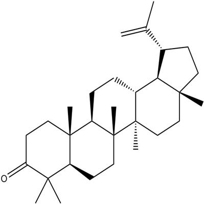 羽扇豆烯酮1617-70-5