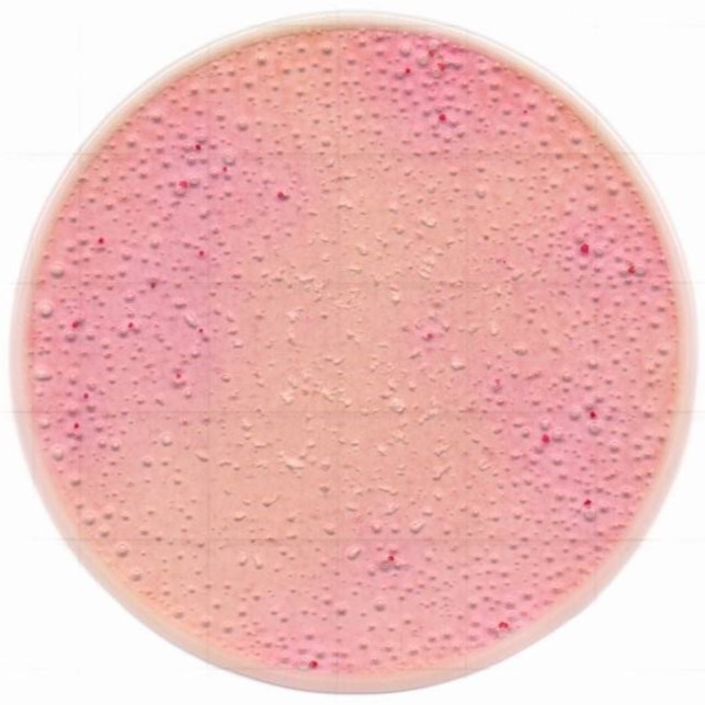 1217129076179898.jpg 1217129076179898.jpg