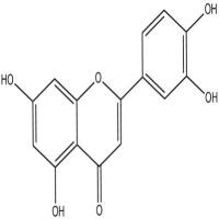 木犀草素分析对照品491-70-3