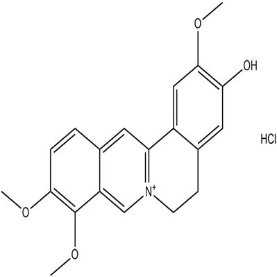 盐酸药根碱分析对照品960383-96-4