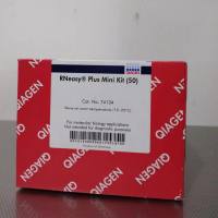  74134 RNeasy Plus Mini Kit (50)