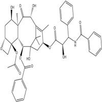 7-表-10-去乙酰基紫杉醇78454-17-8