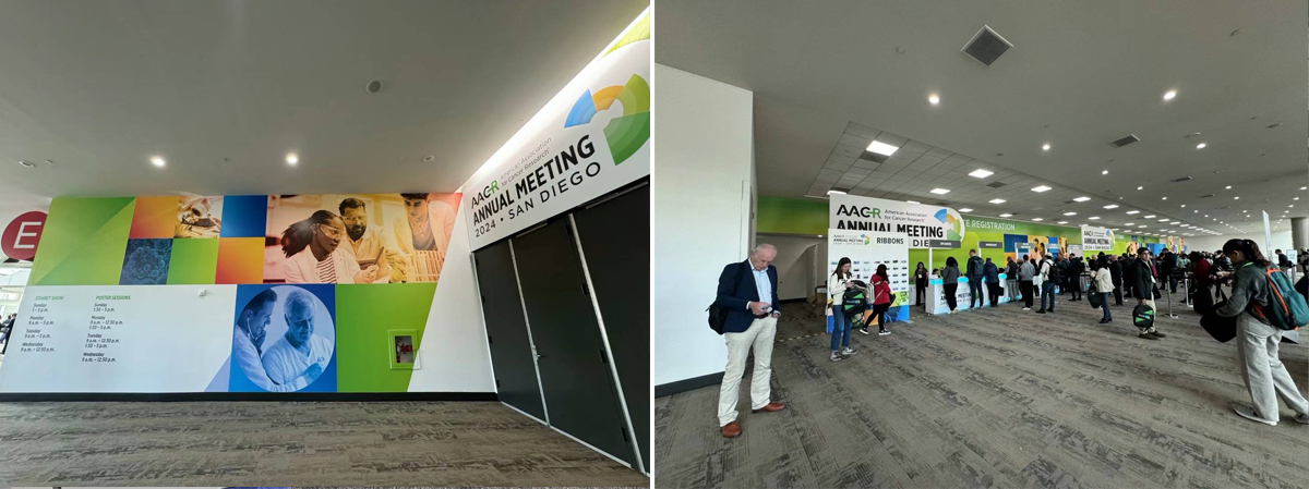 ibidi携3D细胞培养产品|亮相2024 AACR会议