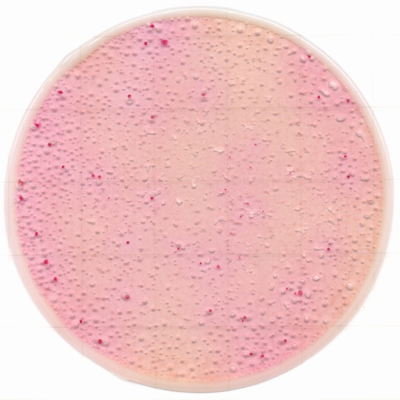 1217129076375072.jpg 1217129076375072.jpg