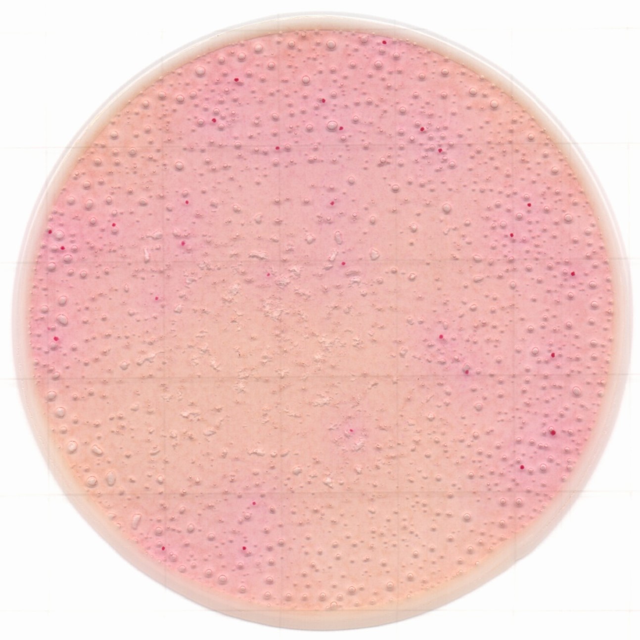 1217129076531939.jpg 1217129076531939.jpg