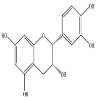 表儿茶素分析对照品490-46-0