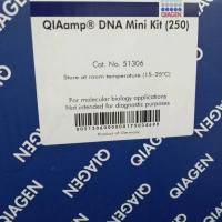  51306 QIAamp DNA Mini Kit (250)