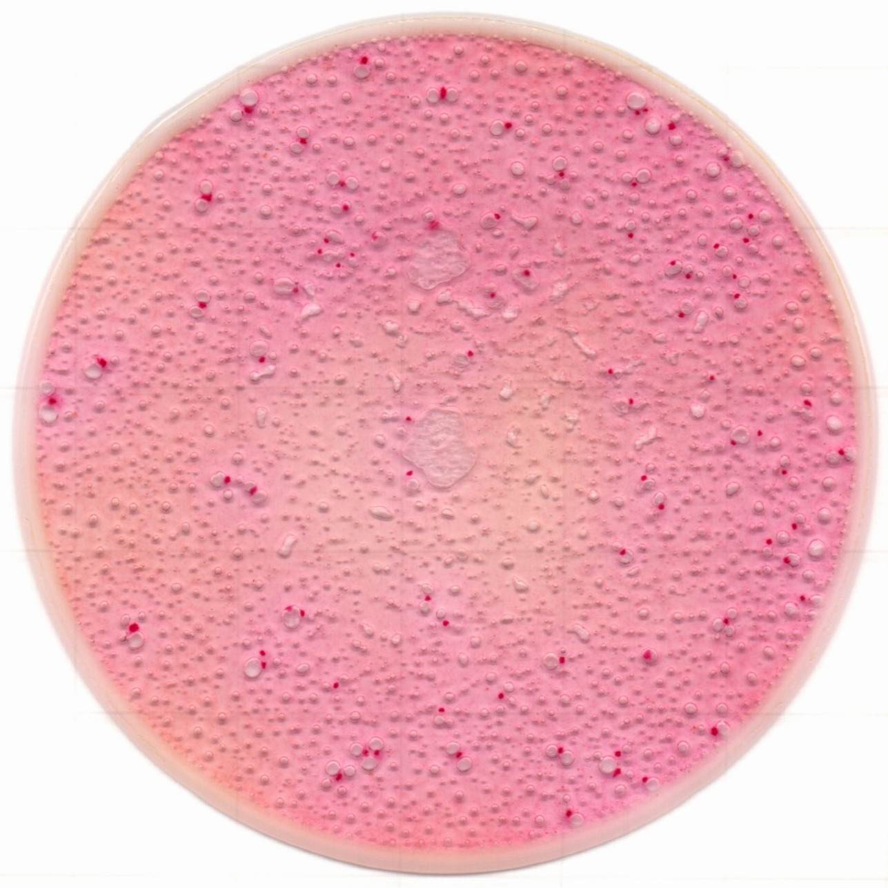 1217129072425603.jpg 1217129072425603.jpg