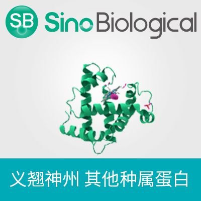 Recombinant H1N1(A/Puerto Rico/8/34/Mount Sinai)Non-structural Protein 2/NS2 | 重组甲型流感 H1N1(A/Puerto Rico/8/34/Mount Sinai)Non-structural 蛋白 2/NS2