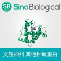 Recombinant Human coronavirus HKU1(isolate N5)Spike Protein(S1+S2 ECD,His) | 重组人冠状病毒 (HCoV-HKU1)(isolate N5)Spike 蛋白(S1+S2 ECD,His)