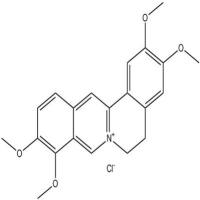 盐酸巴马汀分析对照品10605-02-4