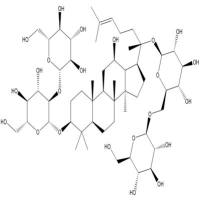 人参皂苷Rb1分析对照品41753-43-9