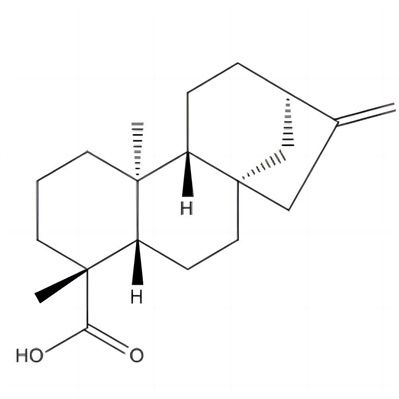 异贝壳杉烯酸6730-83-2