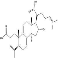 茯苓酸B137551-39-4