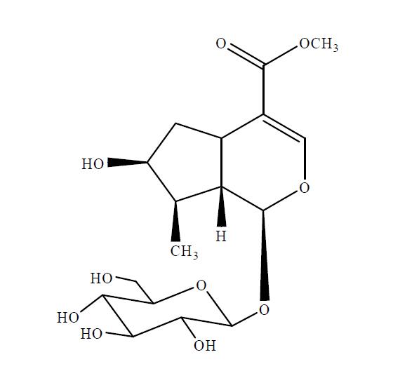 Xa因子(FXa)对照品价格