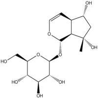 益母草苷52949-83-4