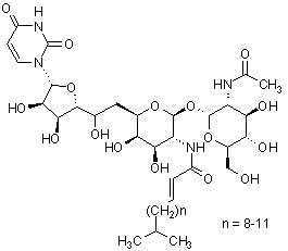 Chemical Structure