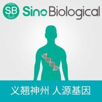 Human SHC1/SHCA variant 2 in cloning vector | 人 SHC1/SHCA 变体 2 克隆质粒