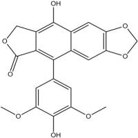 4’-去甲基去氢鬼臼毒素117669-31-5