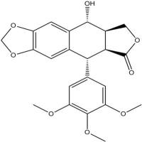 苦鬼臼毒素