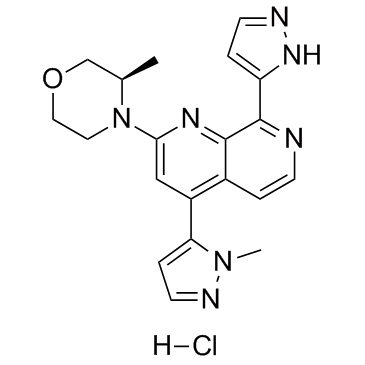 BAY-1895344 hydrochloride结构式