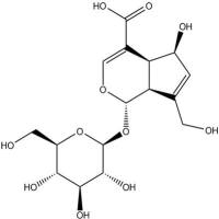 去乙酰基车叶草苷酸14259-55-3