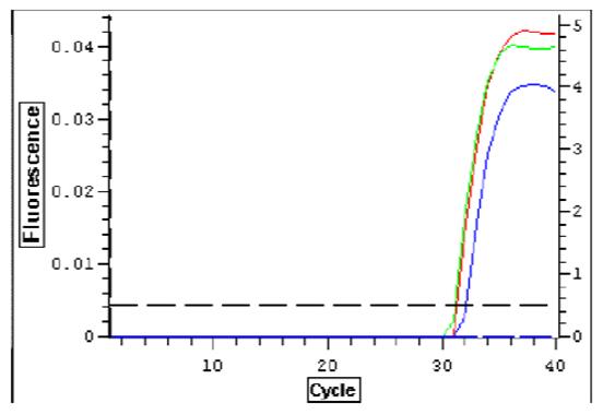 一管式病毒DNA-RNA提取试剂盒