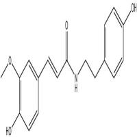 N-反式阿魏酰酪胺66648-43-9