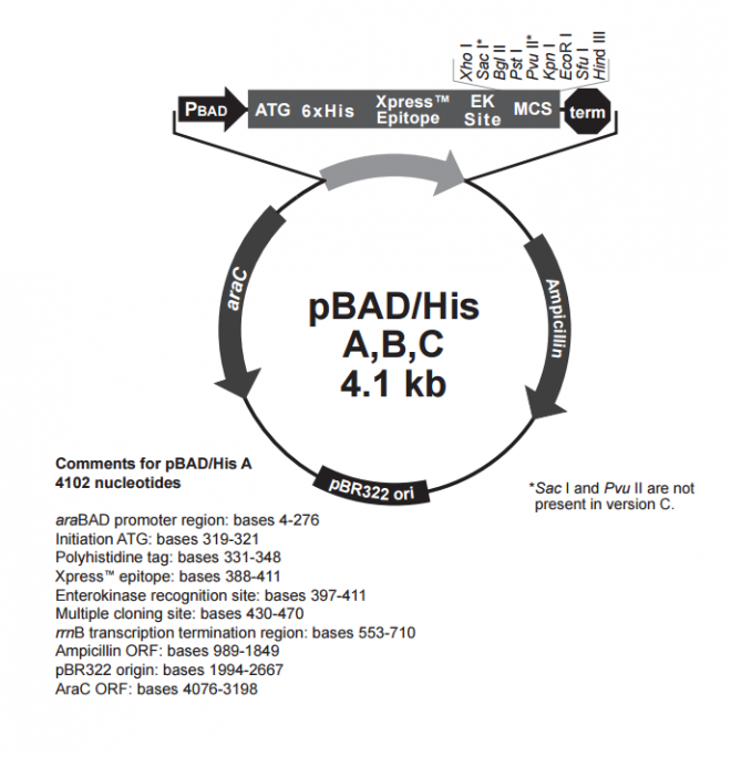 pbadhis_map