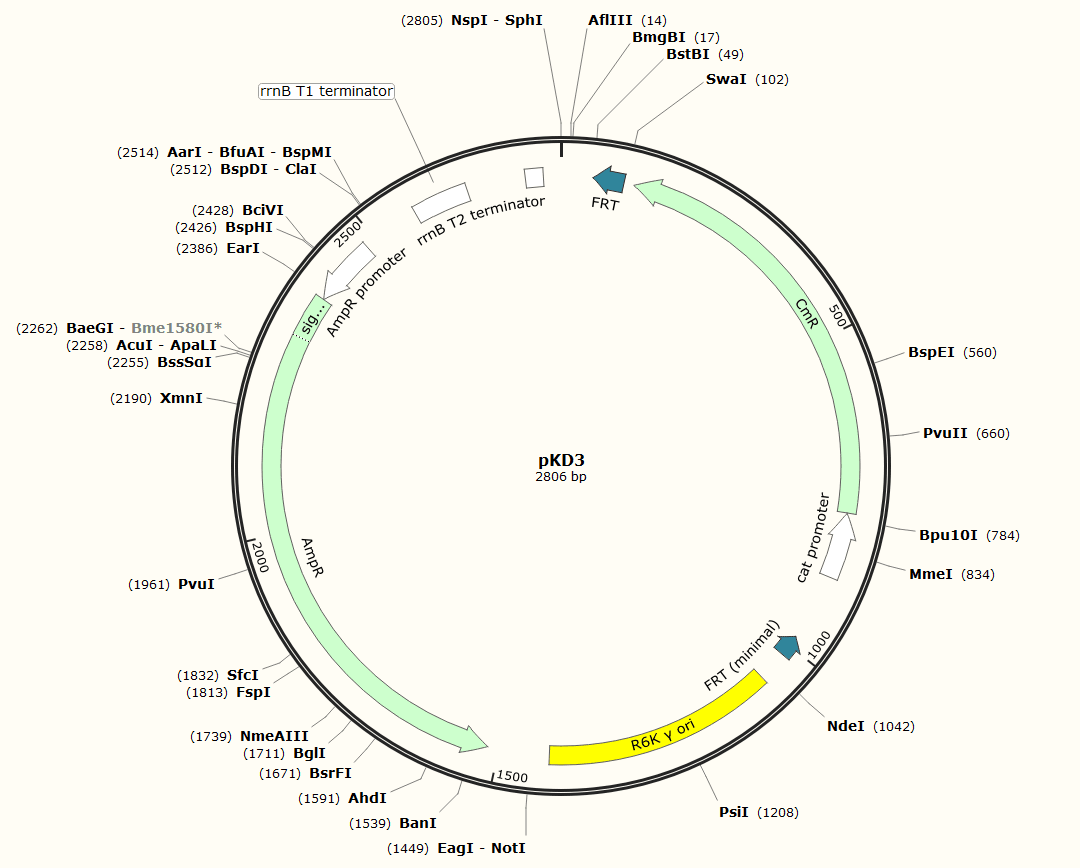 V~)HY$G1AMEAIVL3L3SJY(3