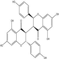 新狼毒素B90411-12-4