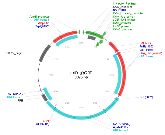 pMDLg pRRE产品信息