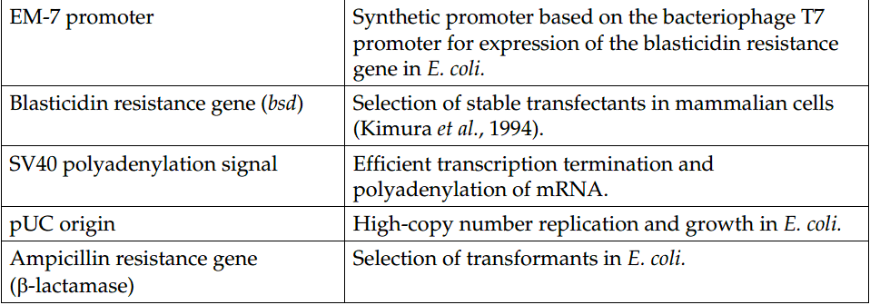 pcDNA6-myc-His 载体特征2