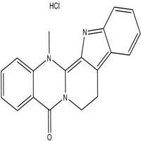 盐酸去氢吴茱萸碱111664-82-5
